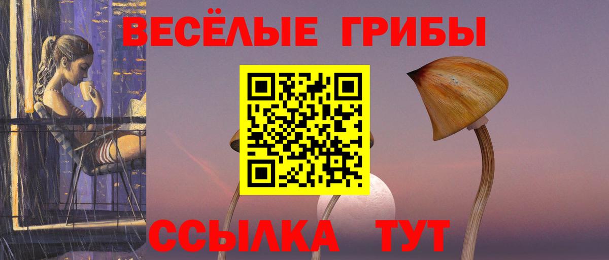Псилоцибиновые грибы Cubensis  купить  цена  Джанкой  Вход с VPN 