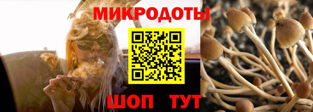 Галлюциногенные грибы мухоморы Джанкой